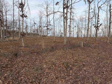 Level, cleared and ready for your dream home in Hot Springs on DeSoto Golf Course in Arkansas - for sale on GolfHomes.com, golf home, golf lot