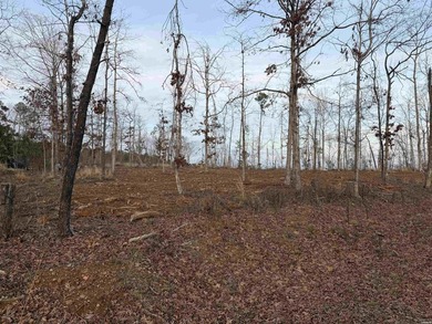 Level, cleared and ready for your dream home in Hot Springs on DeSoto Golf Course in Arkansas - for sale on GolfHomes.com, golf home, golf lot