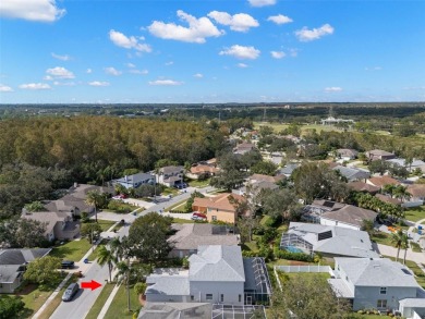 Discover the perfect blend of modern comfort and timeless on East Lake Woodlands Country Club in Florida - for sale on GolfHomes.com, golf home, golf lot