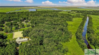 The generous, 3.52-acre, build-ready equestrian homesite on 225 on The Ford Field and River Club  in Georgia - for sale on GolfHomes.com, golf home, golf lot