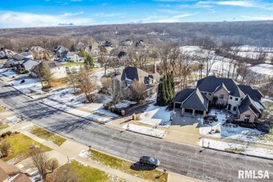 You will love this beautiful luxury estate located on the 17th on WeaverRidge Golf Club in Illinois - for sale on GolfHomes.com, golf home, golf lot