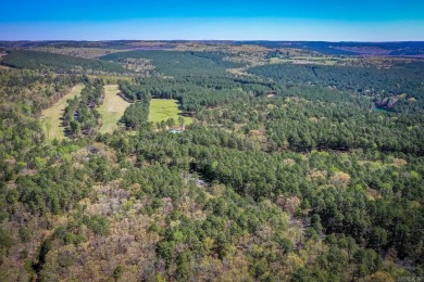 Golf Course Frontage Lots......Each lot listed for $17,500 each on Tannenbaum Golf Club in Arkansas - for sale on GolfHomes.com, golf home, golf lot