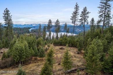 A Gozzer Ranch Golf and Lake Club Lot. Nice buildable lot with on Gozzer Ranch Golf and Lake Club in Idaho - for sale on GolfHomes.com, golf home, golf lot
