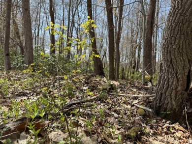 Build your dream home surrounded by Hemlock Trees and evergreen on Alpine Lake Resort in West Virginia - for sale on GolfHomes.com, golf home, golf lot