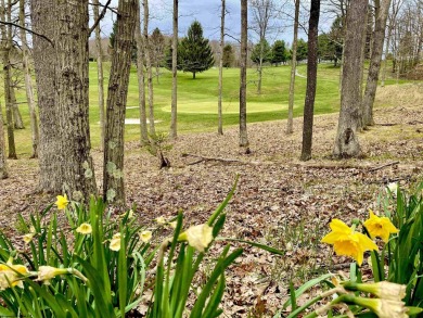 Build your dream home surrounded by Hemlock Trees and evergreen on Alpine Lake Resort in West Virginia - for sale on GolfHomes.com, golf home, golf lot