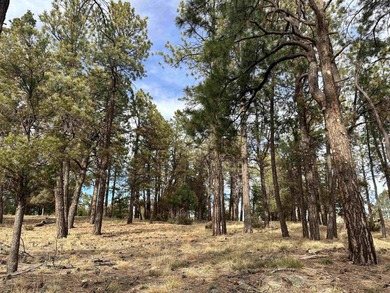 Discover the perfect blend of beauty and value in Divide Ranch on The Divide Ranch and Club in Colorado - for sale on GolfHomes.com, golf home, golf lot