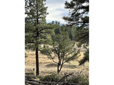 Discover the perfect blend of beauty and value in Divide Ranch on The Divide Ranch and Club in Colorado - for sale on GolfHomes.com, golf home, golf lot