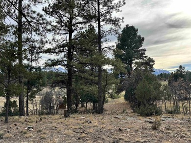 Discover the perfect blend of beauty and value in Divide Ranch on The Divide Ranch and Club in Colorado - for sale on GolfHomes.com, golf home, golf lot