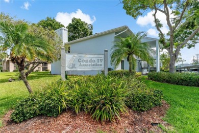 Maintenance-Free Living in East Lake Woodlands - Pinellas on East Lake Woodlands Country Club in Florida - for sale on GolfHomes.com, golf home, golf lot