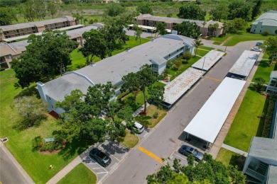 Maintenance-Free Living in East Lake Woodlands - Pinellas on East Lake Woodlands Country Club in Florida - for sale on GolfHomes.com, golf home, golf lot