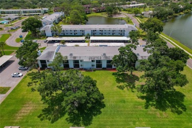 Maintenance-Free Living in East Lake Woodlands - Pinellas on East Lake Woodlands Country Club in Florida - for sale on GolfHomes.com, golf home, golf lot