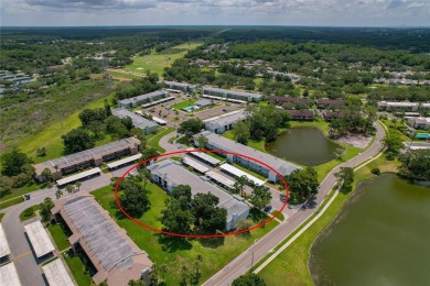 Maintenance-Free Living in East Lake Woodlands - Pinellas on East Lake Woodlands Country Club in Florida - for sale on GolfHomes.com, golf home, golf lot