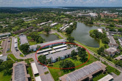Maintenance-Free Living in East Lake Woodlands - Pinellas on East Lake Woodlands Country Club in Florida - for sale on GolfHomes.com, golf home, golf lot