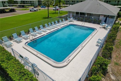 Maintenance-Free Living in East Lake Woodlands - Pinellas on East Lake Woodlands Country Club in Florida - for sale on GolfHomes.com, golf home, golf lot