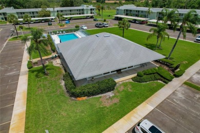 Maintenance-Free Living in East Lake Woodlands - Pinellas on East Lake Woodlands Country Club in Florida - for sale on GolfHomes.com, golf home, golf lot