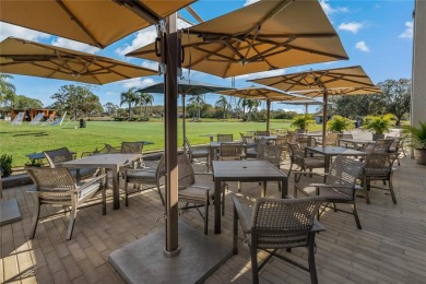 Maintenance-Free Living in East Lake Woodlands - Pinellas on East Lake Woodlands Country Club in Florida - for sale on GolfHomes.com, golf home, golf lot