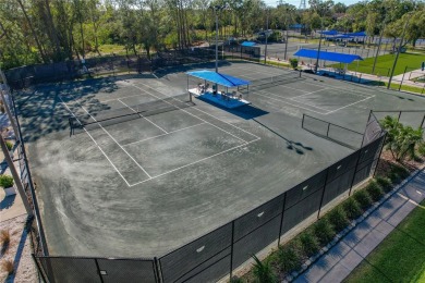 Maintenance-Free Living in East Lake Woodlands - Pinellas on East Lake Woodlands Country Club in Florida - for sale on GolfHomes.com, golf home, golf lot