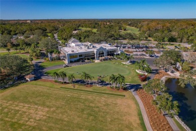 Maintenance-Free Living in East Lake Woodlands - Pinellas on East Lake Woodlands Country Club in Florida - for sale on GolfHomes.com, golf home, golf lot