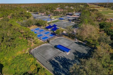 Maintenance-Free Living in East Lake Woodlands - Pinellas on East Lake Woodlands Country Club in Florida - for sale on GolfHomes.com, golf home, golf lot