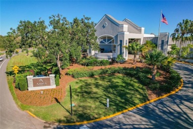 Maintenance-Free Living in East Lake Woodlands - Pinellas on East Lake Woodlands Country Club in Florida - for sale on GolfHomes.com, golf home, golf lot