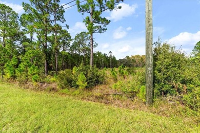 Build your dream home on over two acres of land in the on Wedgefield Golf Club in Florida - for sale on GolfHomes.com, golf home, golf lot