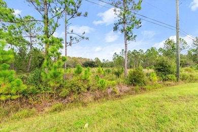 Build your dream home on over two acres of land in the on Wedgefield Golf Club in Florida - for sale on GolfHomes.com, golf home, golf lot