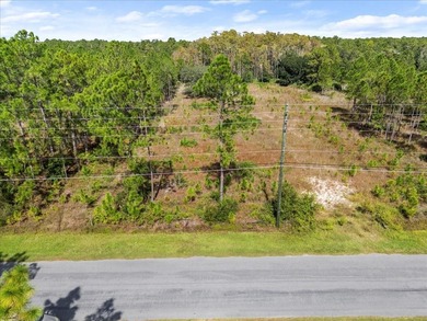 Build your dream home on over two acres of land in the on Wedgefield Golf Club in Florida - for sale on GolfHomes.com, golf home, golf lot