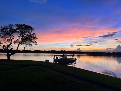 Did not have any flooding or damage from storms. Nestled within on St. Petersburg Country Club in Florida - for sale on GolfHomes.com, golf home, golf lot