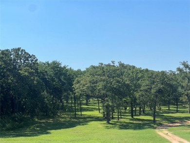 CALLING ALL GOLF & LAKE LOVERS!  It's your DREAM COME TRUE! on Rock Creek Golf Club in Texas - for sale on GolfHomes.com, golf home, golf lot