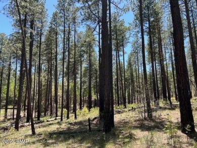 COME SEE THIS BEAUTIFUL TIMBERED LOT WITH TALL PINES AND A on Alpine Country Club in Arizona - for sale on GolfHomes.com, golf home, golf lot