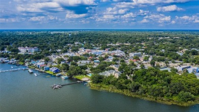 ISLAND LIVING AT ITS FINEST! While many can live on a lake, and on Deer Island Country Club in Florida - for sale on GolfHomes.com, golf home, golf lot