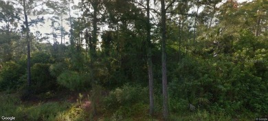 *Open the Door to Your Dreams* of finding the perfect .30 acre on Mirror Lakes Golf Club in Florida - for sale on GolfHomes.com, golf home, golf lot