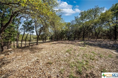 Tree shaded possible 2nd story lake view lot located in Canyon on Canyon Lake Golf Club in Texas - for sale on GolfHomes.com, golf home, golf lot