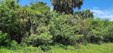 Nestled on cul-de-sac in Rotonda Heights, Florida, this vacant on Rotonda Golf and Country Club The Palms Course in Florida - for sale on GolfHomes.com, golf home, golf lot