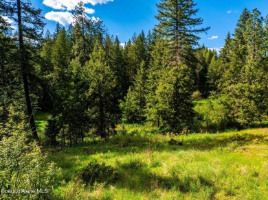 Beautiful 2 acre North Hayden building site with water and sewer on Avondale Golf and Tennis Club in Idaho - for sale on GolfHomes.com, golf home, golf lot