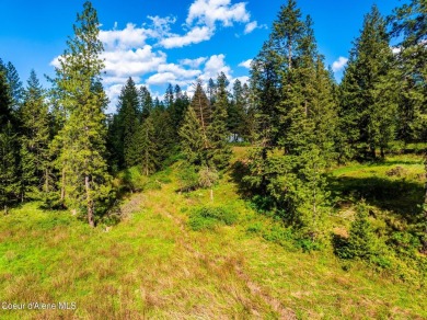 Beautiful 2 acre North Hayden building site with water and sewer on Avondale Golf and Tennis Club in Idaho - for sale on GolfHomes.com, golf home, golf lot