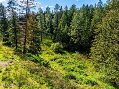 Beautiful 2 acre North Hayden building site with water and sewer on Avondale Golf and Tennis Club in Idaho - for sale on GolfHomes.com, golf home, golf lot