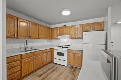Stunning High-Rise Condo in the Heart of Chicago - Move-In on South Shore Cultural Ctr. Golf Course in Illinois - for sale on GolfHomes.com, golf home, golf lot