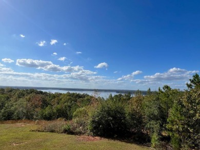 Enjoy the Awesome views and Fabulous sunsets over Lake Eufaula on Meadow Links Golf Club in Georgia - for sale on GolfHomes.com, golf home, golf lot