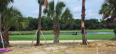 Welcome to the Castello Built By Harwick Homes!  The Castello is on Miromar Lakes Golf Club in Florida - for sale on GolfHomes.com, golf home, golf lot