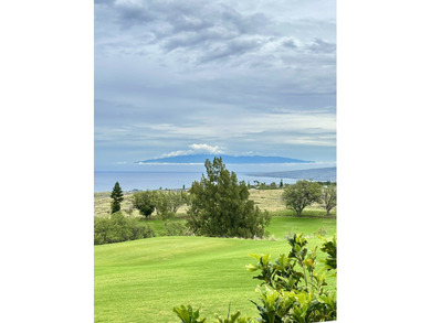 Unobstructed Panoramic Views - Complete Upscale Renovation - on Waikoloa Village Golf Club in Hawaii - for sale on GolfHomes.com, golf home, golf lot