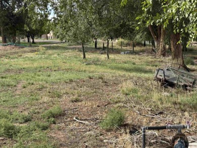 Prime .82-Acre Lot with Monument Views - Build Your Dream Home on Tiara Rado Golf Course in Colorado - for sale on GolfHomes.com, golf home, golf lot