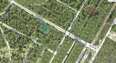 Come build your single or multi-family forever home on this One on Indian Lake Estates Golf and Country Club in Florida - for sale on GolfHomes.com, golf home, golf lot