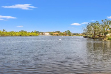 HARBOR ISLE HAS NEVER HAD ANY FLOODING ISSUES ~ LAKEFRONT POOL on Mangrove Bay Golf Course in Florida - for sale on GolfHomes.com, golf home, golf lot