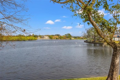 HARBOR ISLE HAS NEVER HAD ANY FLOODING ISSUES ~ LAKEFRONT POOL on Mangrove Bay Golf Course in Florida - for sale on GolfHomes.com, golf home, golf lot