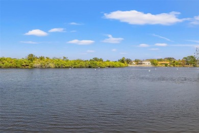 HARBOR ISLE HAS NEVER HAD ANY FLOODING ISSUES ~ LAKEFRONT POOL on Mangrove Bay Golf Course in Florida - for sale on GolfHomes.com, golf home, golf lot