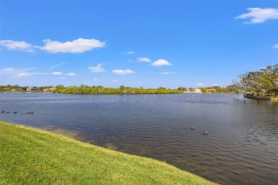 HARBOR ISLE HAS NEVER HAD ANY FLOODING ISSUES ~ LAKEFRONT POOL on Mangrove Bay Golf Course in Florida - for sale on GolfHomes.com, golf home, golf lot