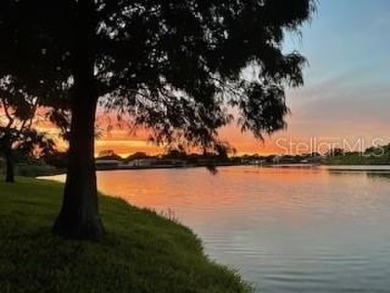 HARBOR ISLE HAS NEVER HAD ANY FLOODING ISSUES ~ LAKEFRONT POOL on Mangrove Bay Golf Course in Florida - for sale on GolfHomes.com, golf home, golf lot