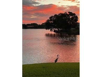 HARBOR ISLE HAS NEVER HAD ANY FLOODING ISSUES ~ LAKEFRONT POOL on Mangrove Bay Golf Course in Florida - for sale on GolfHomes.com, golf home, golf lot