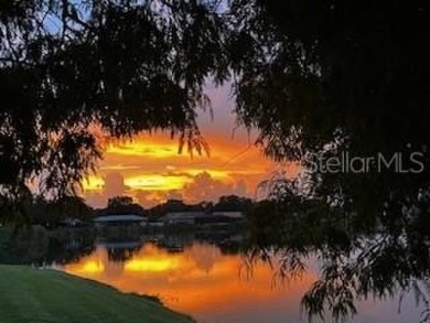 HARBOR ISLE HAS NEVER HAD ANY FLOODING ISSUES ~ LAKEFRONT POOL on Mangrove Bay Golf Course in Florida - for sale on GolfHomes.com, golf home, golf lot